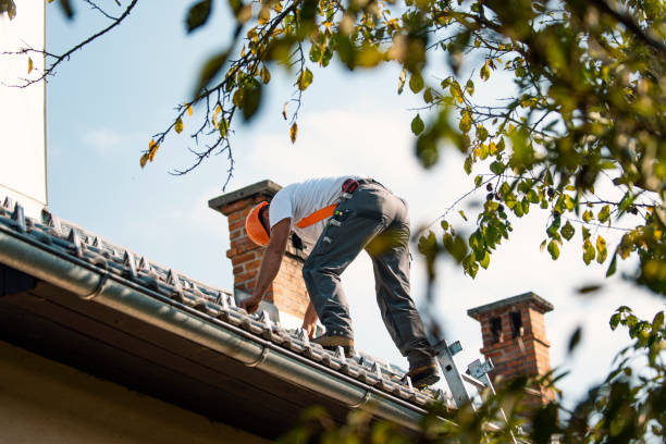 Best Flat Roofing  in Porter Heights, TX
