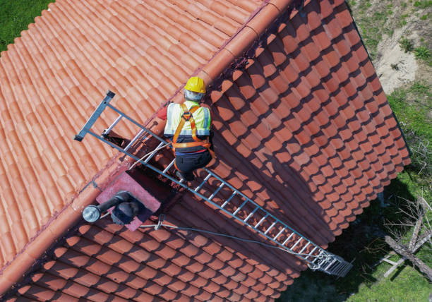 Best Roof Coating and Sealing  in Porter Heights, TX