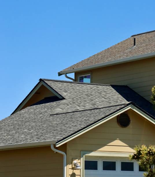 Best Skylight Installation and Repair  in Porter Heights, TX
